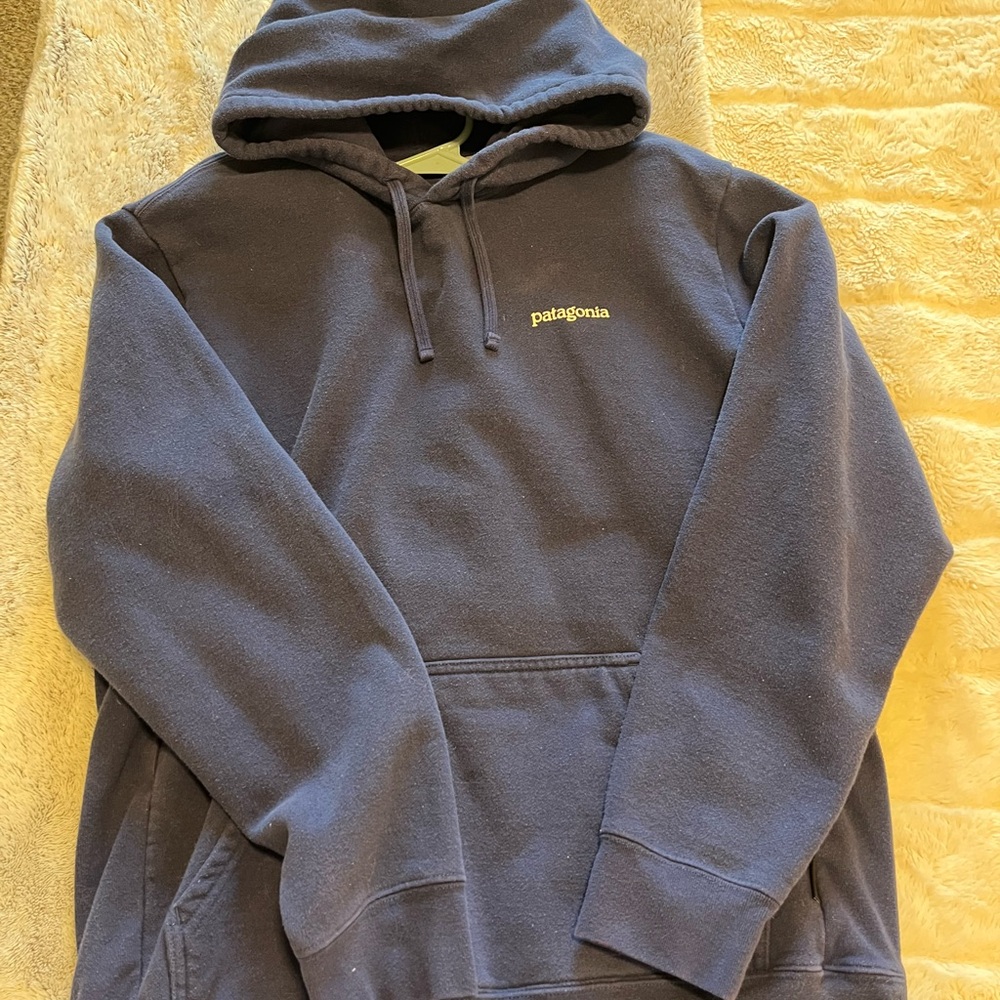 Patagonia Navy Pullover Hoodie with Small Chest Logo